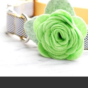 Chartuse rose accent for your pets collar